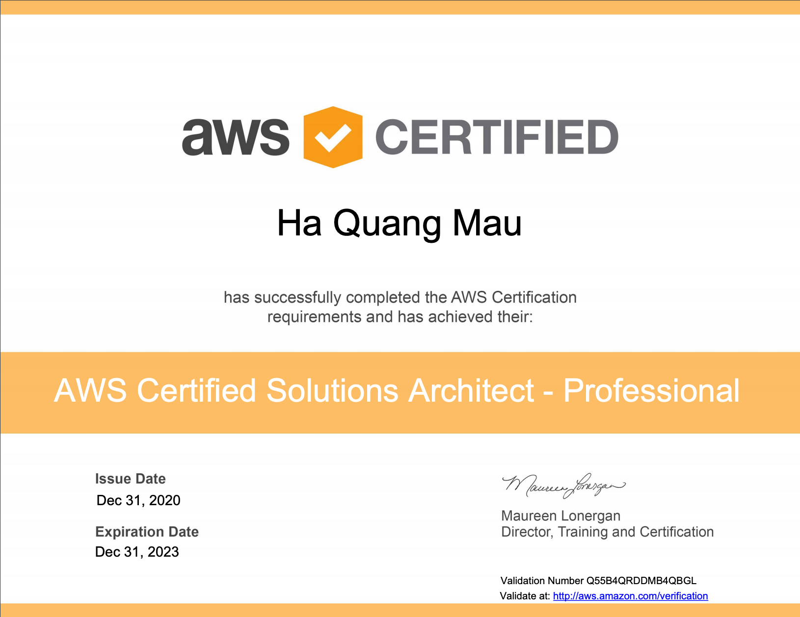 AWS Certified Solutions Architect – Professional